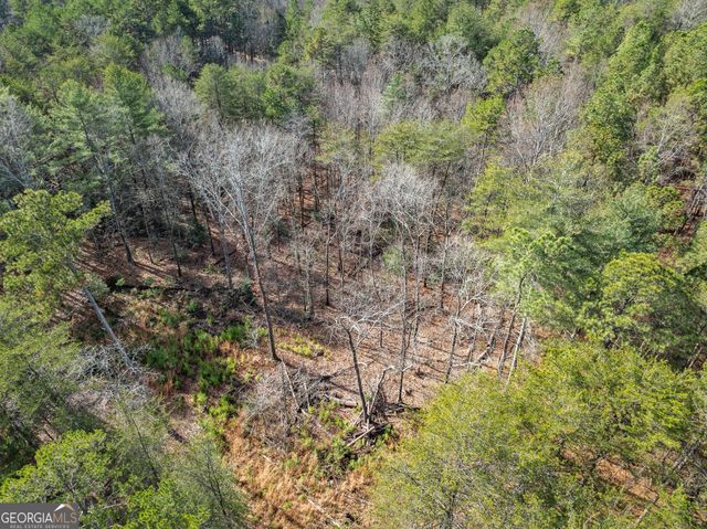 1361 Soque Ridge Circle, Demorest, GA 30535