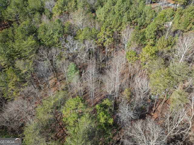 1361 Soque Ridge Circle, Demorest, GA 30535