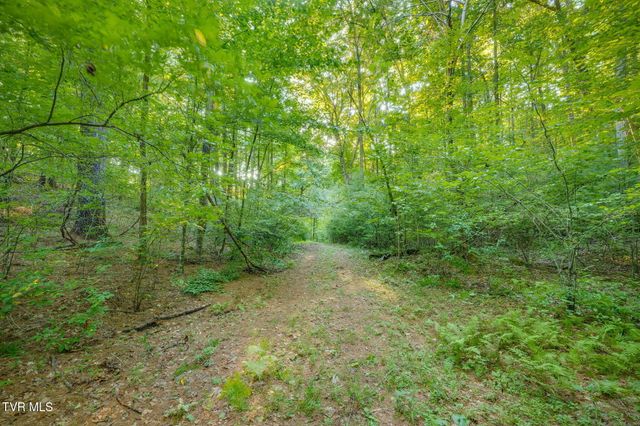 Tbd Atwood Pt, Butler, TN 37640