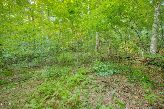 Tbd Atwood Pt, Butler, TN 37640