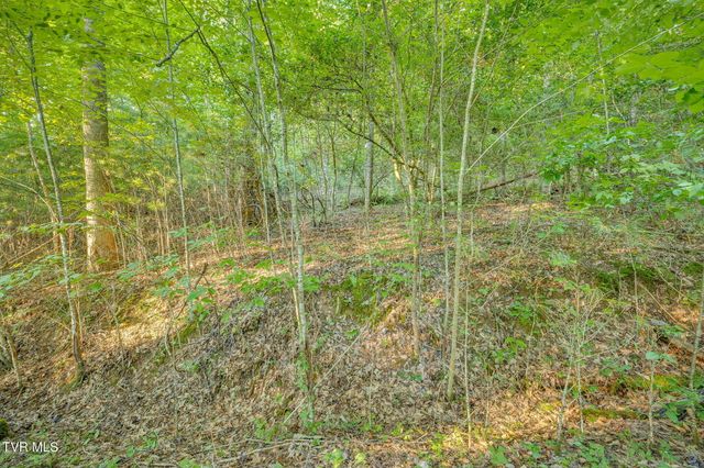 Tbd Atwood Pt, Butler, TN 37640