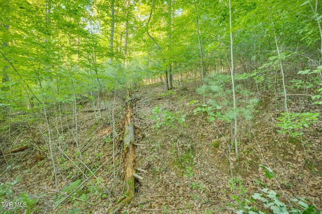 Tbd Atwood Pt, Butler, TN 37640