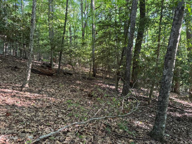 Tbd Atwood Pt, Butler, TN 37640
