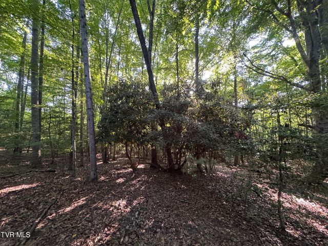 Tbd Atwood Pt, Butler, TN 37640