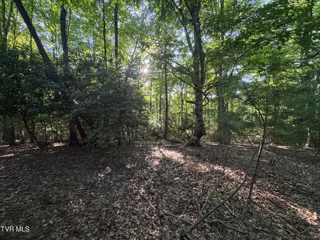 Tbd Atwood Pt, Butler, TN 37640