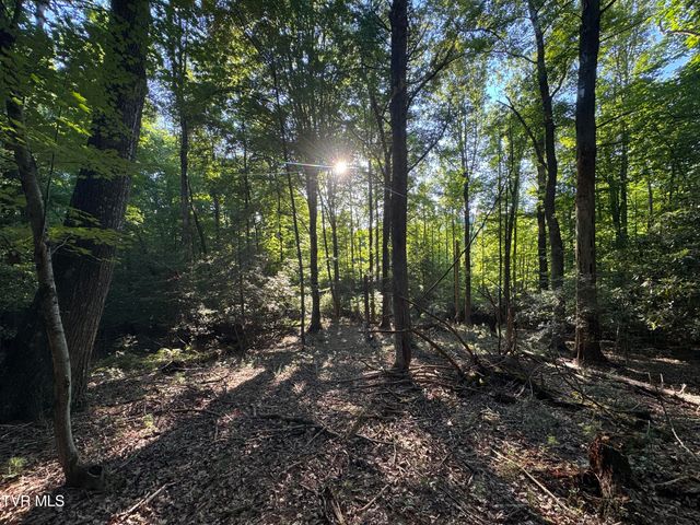 Tbd Atwood Pt, Butler, TN 37640