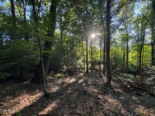 Tbd Atwood Pt, Butler, TN 37640