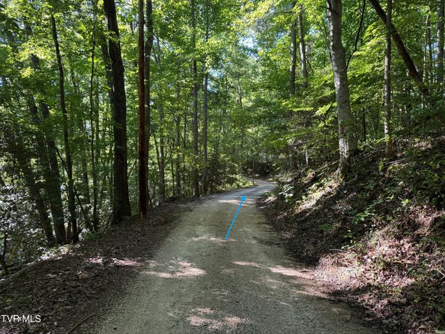 Tbd Atwood Pt, Butler, TN 37640