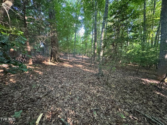 Tbd Atwood Pt, Butler, TN 37640