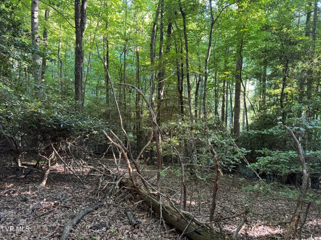 Tbd Atwood Pt, Butler, TN 37640