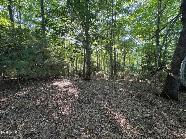 Tbd Atwood Pt, Butler, TN 37640
