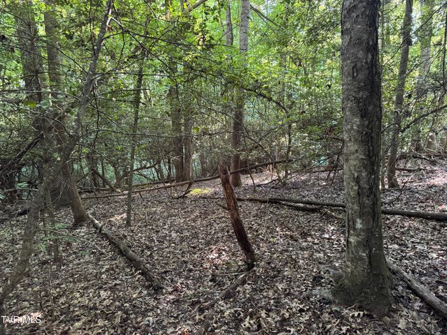Tbd Atwood Pt, Butler, TN 37640