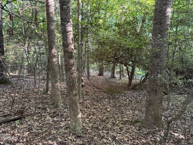 Tbd Atwood Pt, Butler, TN 37640