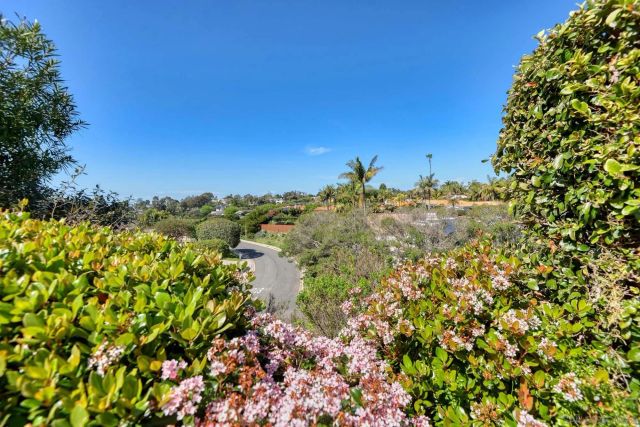 1609 Caminito Asterisco, La Jolla, CA 92037