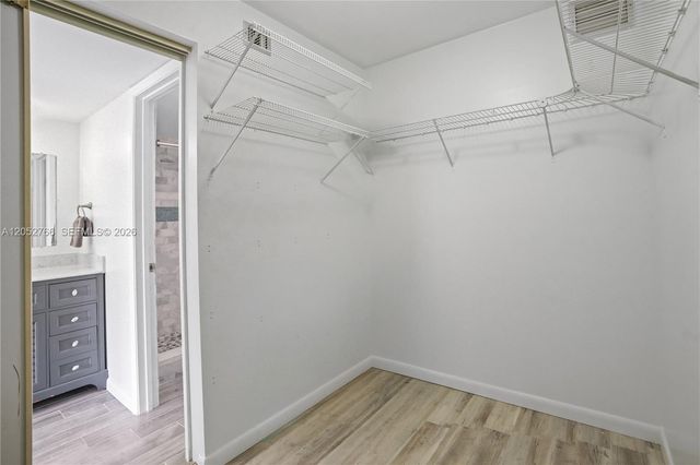 3516 Whitehall Drive 301, West Palm Beach, FL 33401