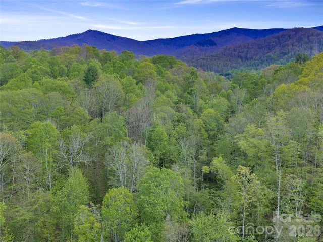 0 Odoms Chapel Road, Bakersville, NC 28705