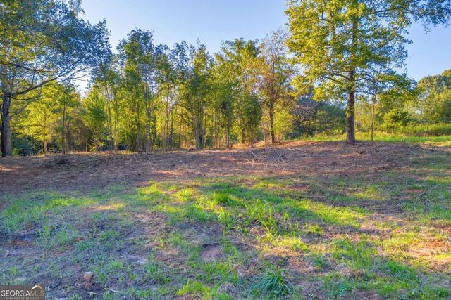 4638 Highway 63, Carnesville, GA 30521