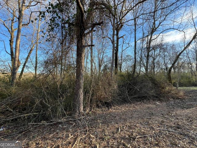 4638 Highway 63, Carnesville, GA 30521