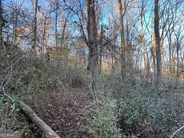 4638 Highway 63, Carnesville, GA 30521