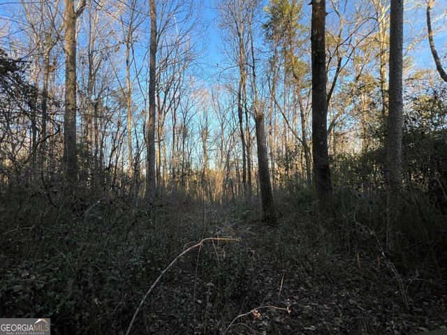 4638 Highway 63, Carnesville, GA 30521