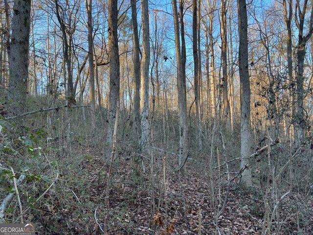 4638 Highway 63, Carnesville, GA 30521