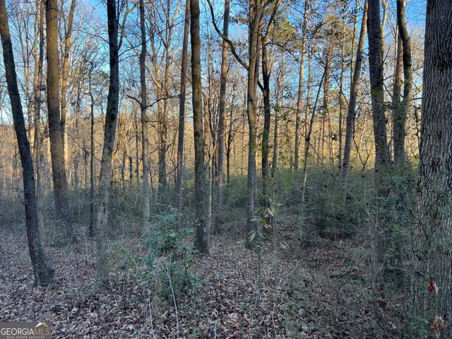 4638 Highway 63, Carnesville, GA 30521