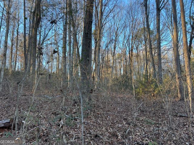 4638 Highway 63, Carnesville, GA 30521