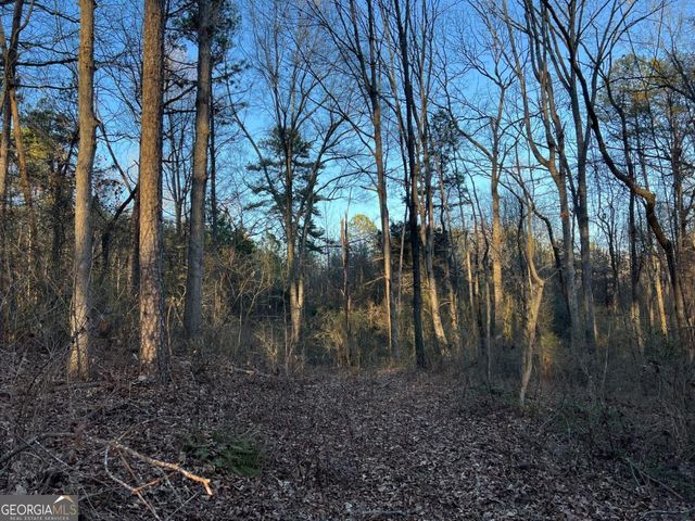 4638 Highway 63, Carnesville, GA 30521