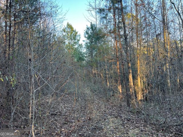 4638 Highway 63, Carnesville, GA 30521