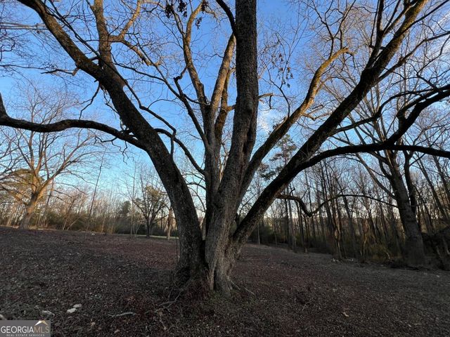 4638 Highway 63, Carnesville, GA 30521