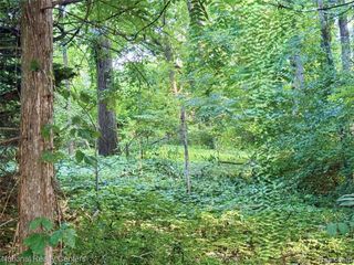 0000 Knob Hill Drive, Commerce Twp, MI 48382