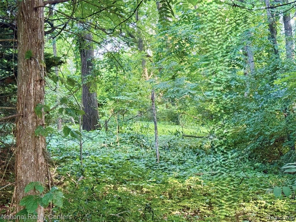 0000 Knob Hill Drive, Commerce Twp, MI 48382