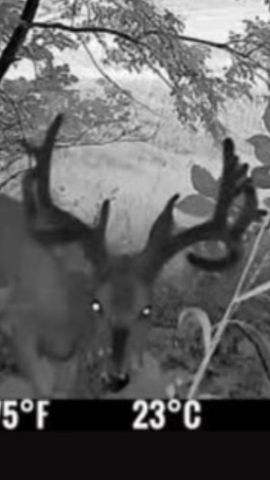 E7748 Mill Road, Spring Green, WI 53588