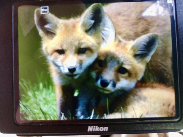 E7748 Mill Road, Spring Green, WI 53588