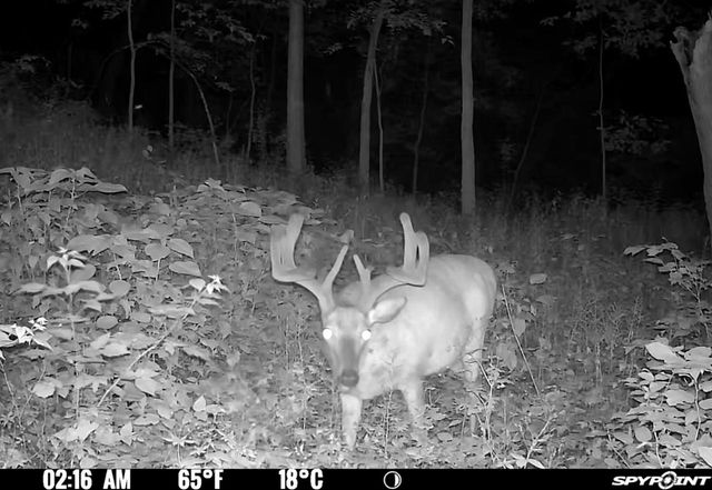 E7748 Mill Road, Spring Green, WI 53588