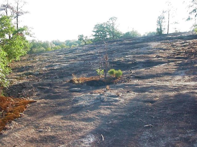 0000 Rabbit Farm Road, Loganville, GA 30052