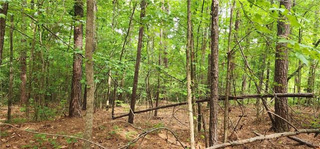0000 Rabbit Farm Road, Loganville, GA 30052