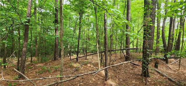 0000 Rabbit Farm Road, Loganville, GA 30052