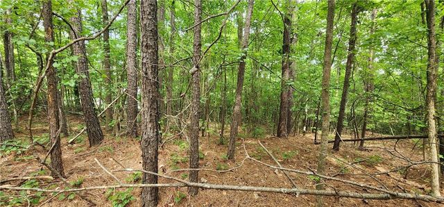 0000 Rabbit Farm Road, Loganville, GA 30052