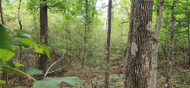 0000 Rabbit Farm Road, Loganville, GA 30052