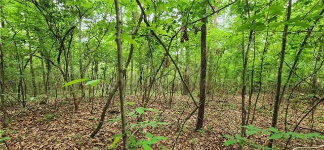 0000 Rabbit Farm Road, Loganville, GA 30052