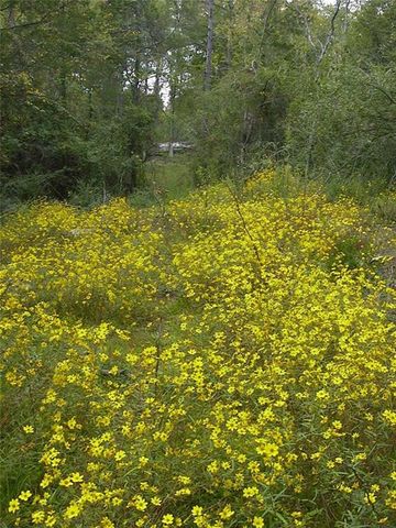 0000 Rabbit Farm Road, Loganville, GA 30052