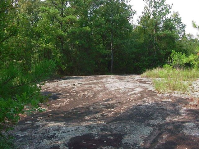 0000 Rabbit Farm Road, Loganville, GA 30052