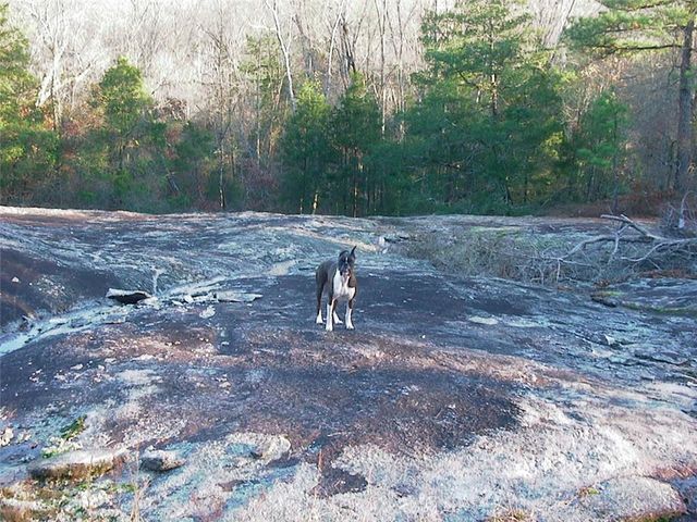 0000 Rabbit Farm Road, Loganville, GA 30052