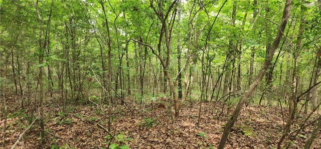 0000 Rabbit Farm Road, Loganville, GA 30052