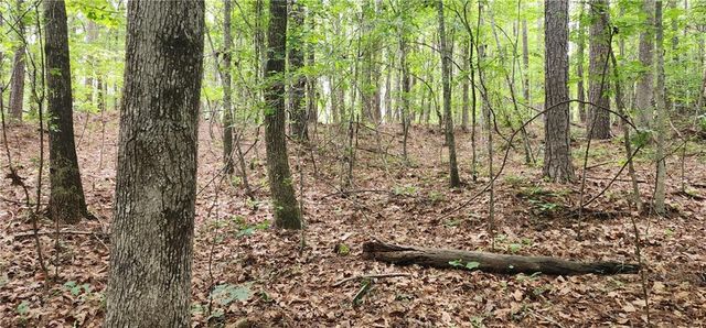 0000 Rabbit Farm Road, Loganville, GA 30052