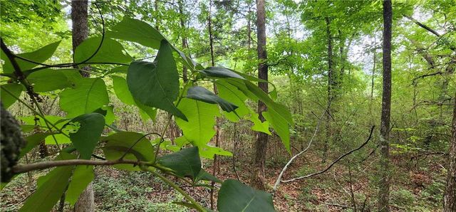 0000 Rabbit Farm Road, Loganville, GA 30052