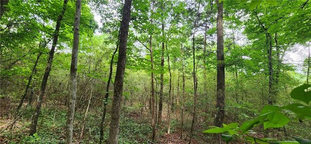 0000 Rabbit Farm Road, Loganville, GA 30052