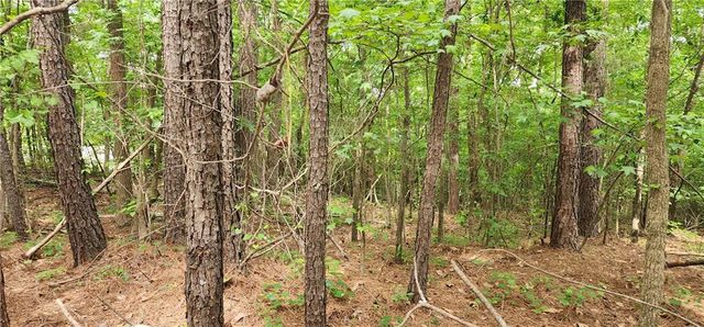 0000 Rabbit Farm Road, Loganville, GA 30052