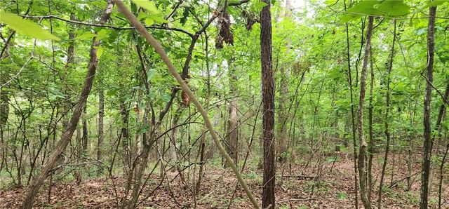 0000 Rabbit Farm Road, Loganville, GA 30052